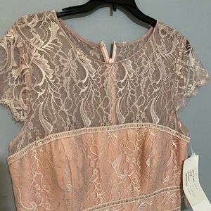 Hayley Paige occasions Rose dress, size 14